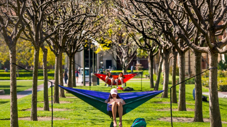 Students lounging in hammocks on campus.