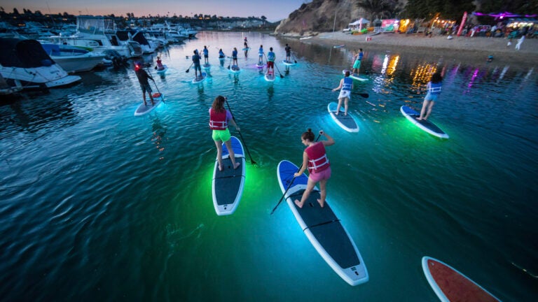 USC students Glow Paddle Boarding in Newport Bay in 2019.