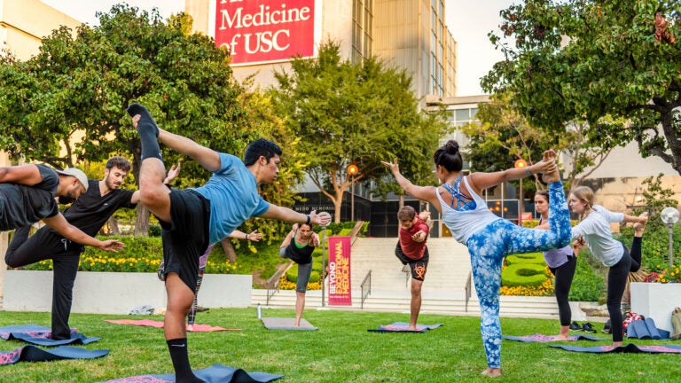 Students practicing yoga on the lawn.