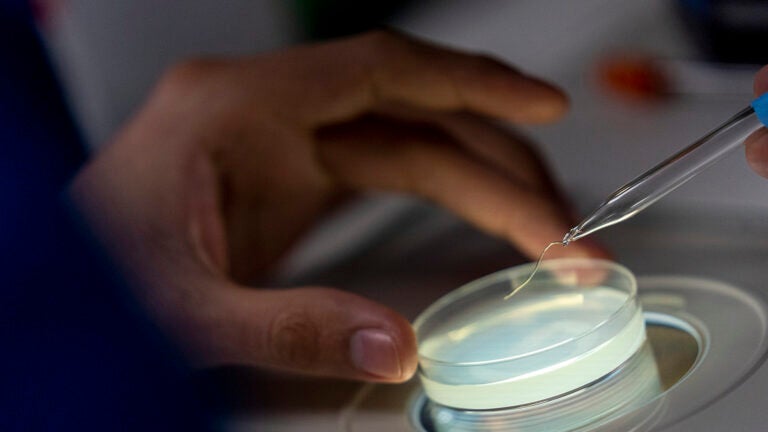Hand holding clear dish