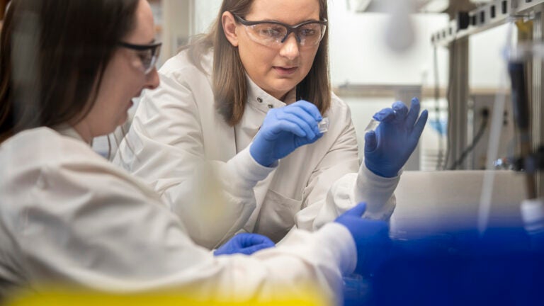 Two research looking at a sample together