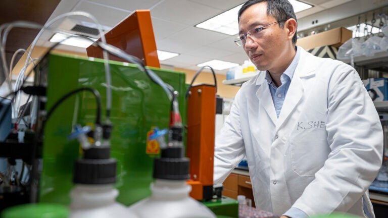 Researcher looking at machine