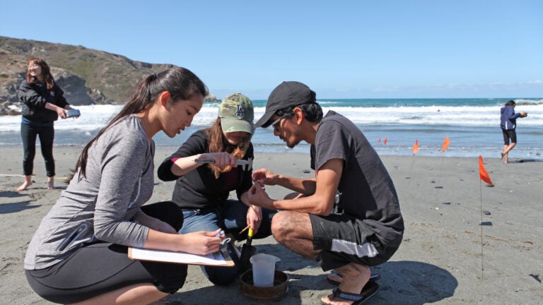 USC students on a beach conducting marine research through the USC Wrigley Institute for Environmental Studies