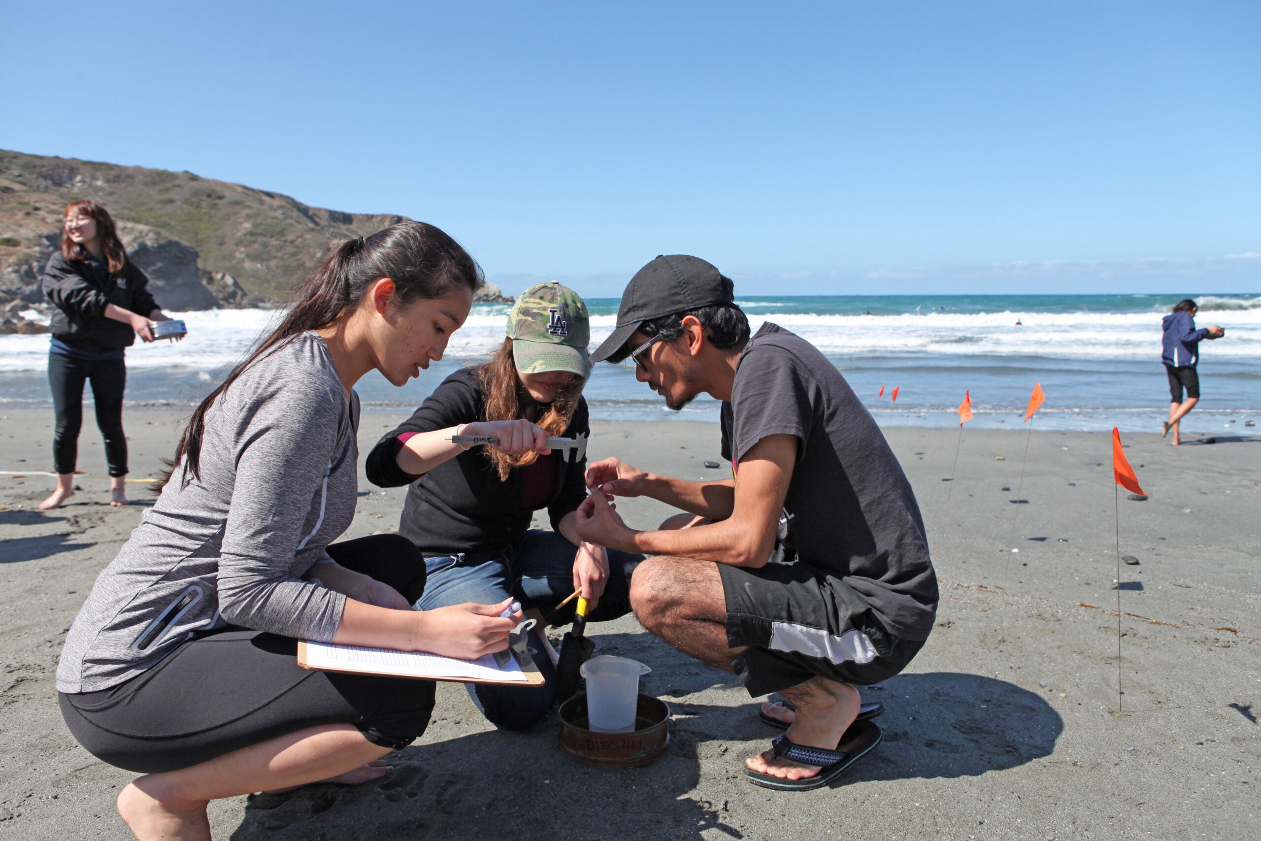 USC Dornsife students kneeling on a beach conduct marine research through the USC Wrigley Institute located on Catalina Island.