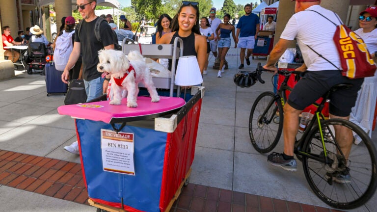 New first year student Lana Le, 19, gives her dog Buddy a 4-year-old Maltese a tour of her residential college during move-in day