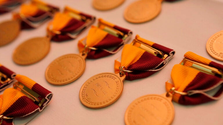 Academic medals lined up in a row.
