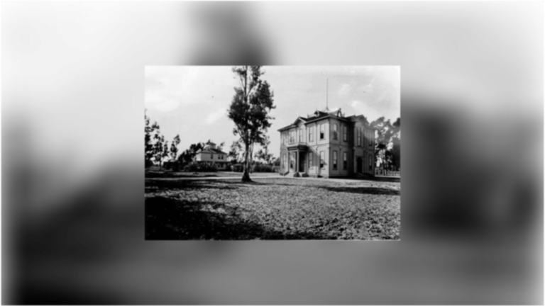 Widney Alumni House standing on empty land, next to a tree