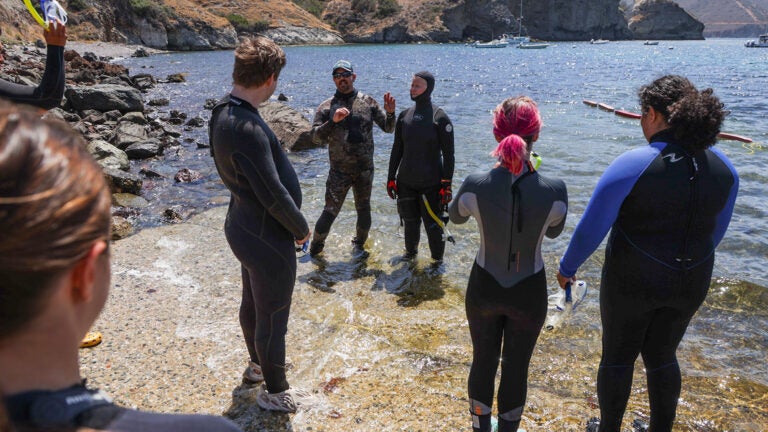 Students from USC Dornsife wearing wetsuits on a beach learn from instructors at the USC Wrigley Institute on Catalina Island.