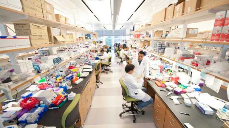 Researchers discussing their work in a lab.