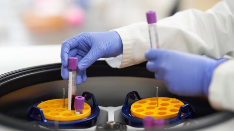 Scientist handling vials of blood.