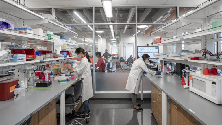 Two USC scientists working in the lab.