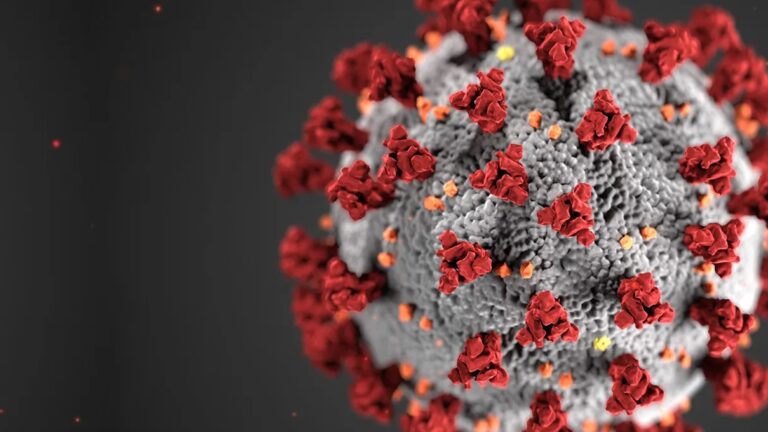 A COVID-19 cell magnified