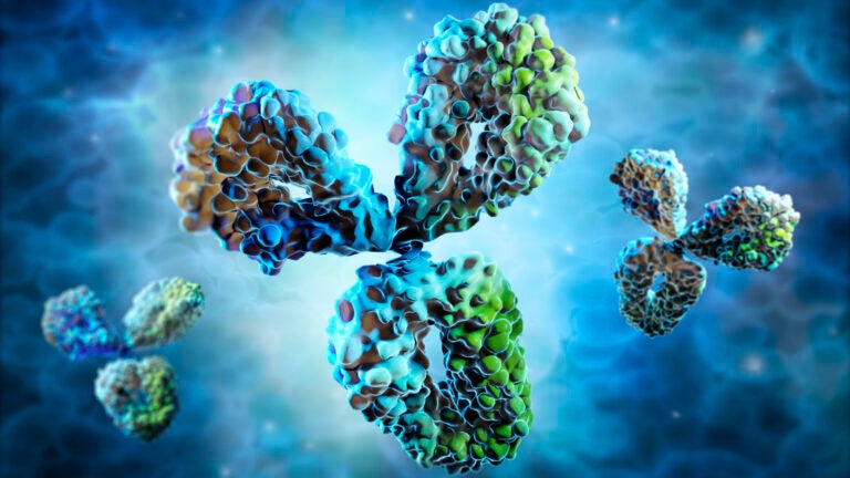 Medical 3D illustration of antibodies with a cell background.