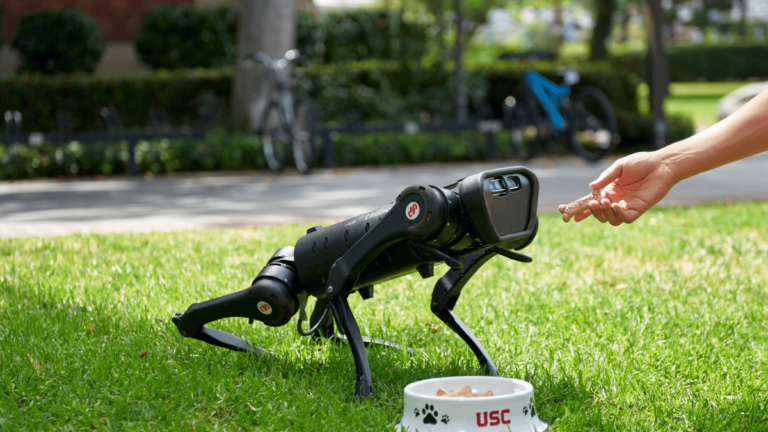 A small robotic dog inspects a treat being presented to it as it crouches near a bowl of treats.