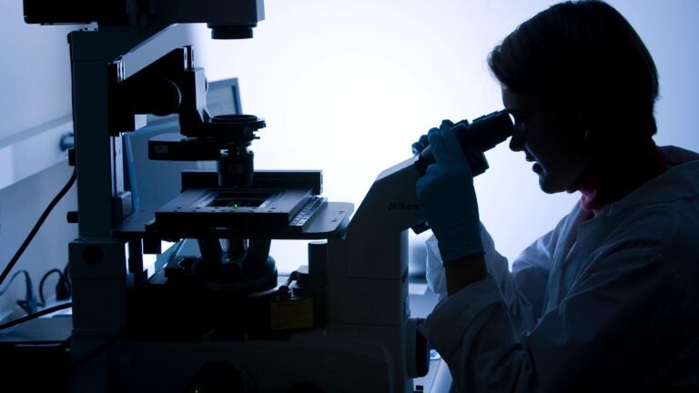 A researcher at USC looking into a microscope.
